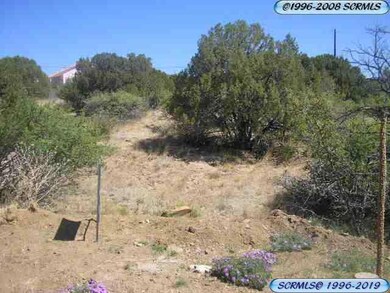 0000 Briarwood Ln, Silver City, NM 88061 - photo 6