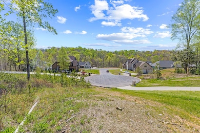 7504 Hunter York Ct, Fairview, TN 37062 - photo 6