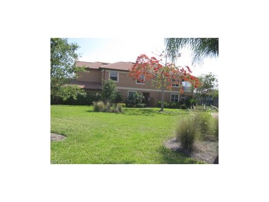 Poinciana tree outside home