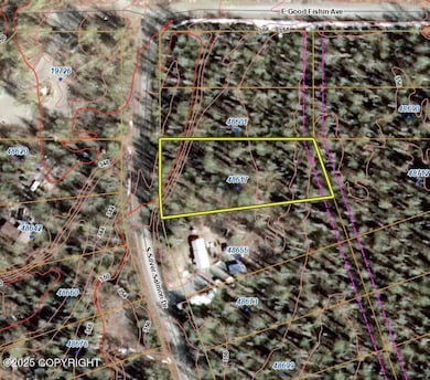 48617 S Silver Salmon Dr, Willow, AK 99688 - photo 2