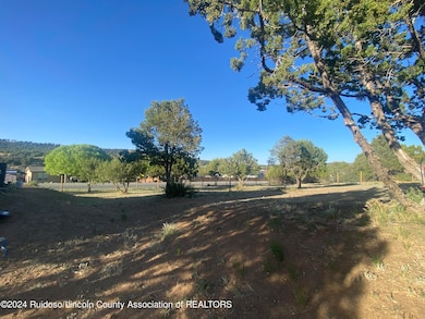 105 Boothill Rd, Alto, NM 88312 - photo 7