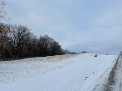 27055 River View Ct, Red Wing, MN 55066 - photo 3