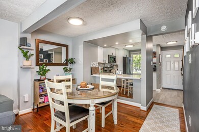 250 Canfield Terrace, Frederick, MD 21702 - photo 7