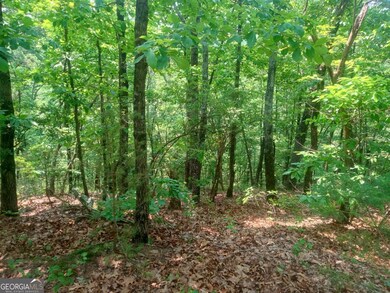 Lt 1227 Hilton Dr unit 1227, Ranger, GA 30734 - photo 6