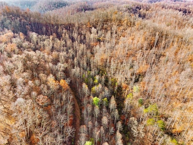 0 KY-15 South Kentucky 15, Campton, KY 41301 - photo 7