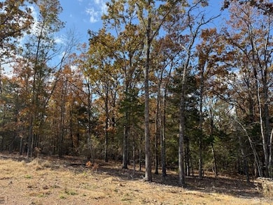 42 Summer Sky Dr, Greenbrier, AR 72058 - photo 3