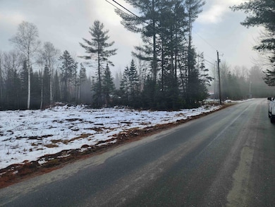 00 Little River Rd unit 80, Carroll, NH 03595 - photo 3