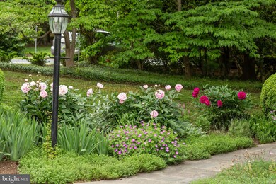 304 Great Falls St, Falls Church, VA 22046 - photo 3