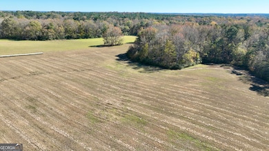 LOT 4 Mask Road - Hanner's Farm S, Brooks, GA 30205 - photo 7