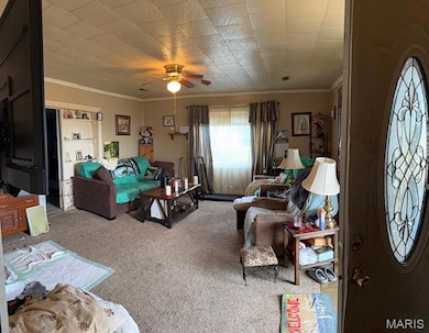 7532 Ripley Route A, Doniphan, MO 63935 - photo 2