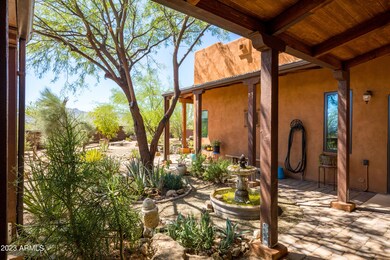 Backyard Desert Sanctuary