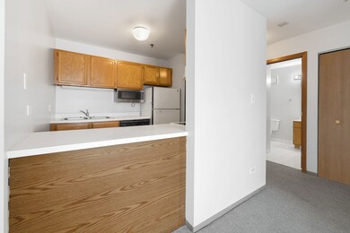 Kirchoff Meadows unit 306, Rolling Meadows, IL 60008 - photo 3