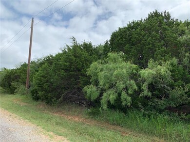 12174 Rolling Oaks Dr, Whitney, TX 76692 - photo 2
