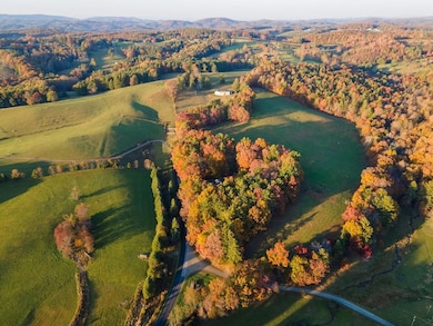 TBD Shady Grove Rd, Indian Valley, VA 24105 - photo 2