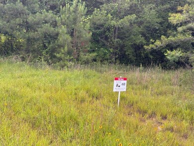 0 Alabama 69, Campbell, AL 36727 - photo 7