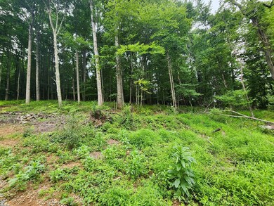 TBD Starmount Ln, Galax, VA 24333 - photo 5