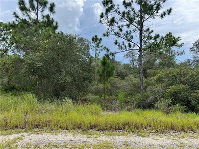 373 Showboat Ave, Lake Placid, FL 33852 - photo 5