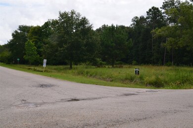 0 River Ridge Dr, Conroe, TX 77385 - photo 3