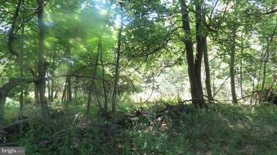 758 Swimley Rd, Berryville, VA 22611 - photo 5