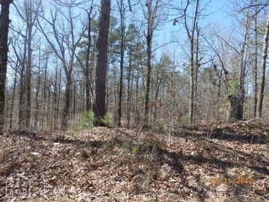 5085 Highway 358, Paragould, AR 72450 - photo 6