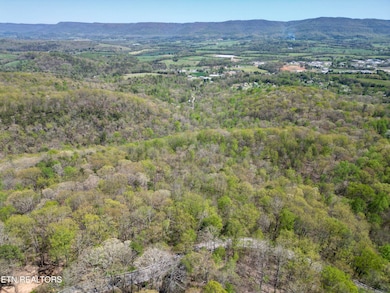 DJI_0772