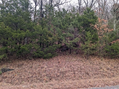 TBD Starlite Ave, Holiday Island, AR 72631 - photo 7