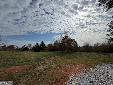 3439 TRACT 4 Providence Church Rd, Hartwell, GA 30643 - photo 4