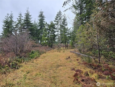 0 Lot 1&2 W Elk Hill Rd, Elma, WA 98541 - photo 6