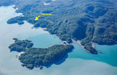 0 SW Bear Cove Lot B unit 24-3344, Homer, AK 99603 - photo 3