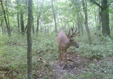000 E 100th St, Blythedale, MO 64426 - photo 4