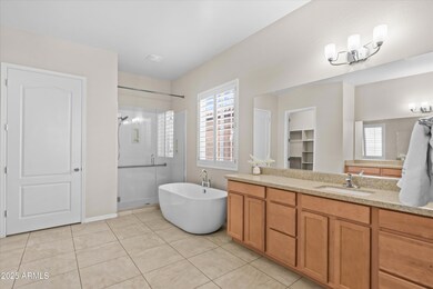 2040 E Geronimo St, Chandler, AZ 85225 - photo 7