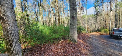 3 LOTS Ridgecrest Dr unit 76,78,80, Blue Ridge, GA 30513 - photo 6