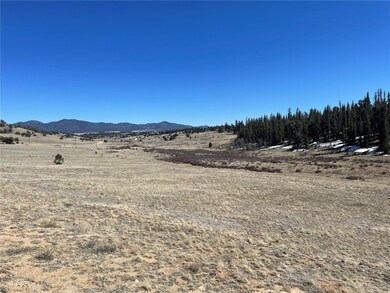 3233 Remington Rd, Como, CO 80456 - photo 7