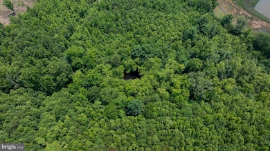 TBD Piney Grove Rd unit 21, Alton, VA 24520 - photo 3