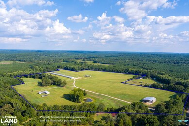 867 S County Road 20, Ozark, AL 36360 - photo 5