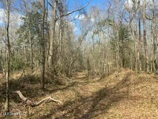 0 Turkey Creek Rd, Natchez, MS 39120 - photo 6