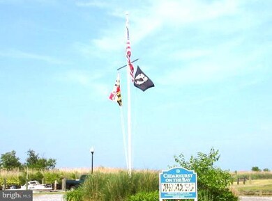 1231 Spruce Ave, Shady Side, MD 20764 - photo 5