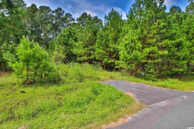 lot 65 Tidway Cir, Conway, SC 29527 - photo 2