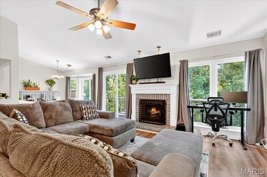 610 Pine Ridge Trails Ct unit 203, Ballwin, MO 63021 - photo 3