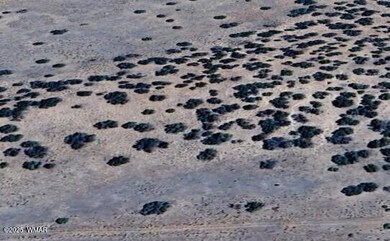 0 unit 257676, Adamana, AZ 86028 - photo 4