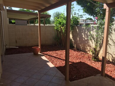 Back Patio 2