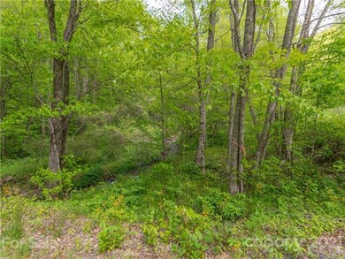 TBD Fox Creek Rd unit Lot 10, Burnsville, NC 28714 - photo 2