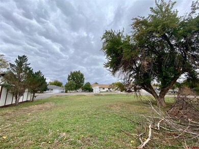 145 1/2 NE 4th St, Cedaredge, CO 81413 - photo 2