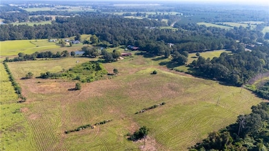 TBD Bennie Morris Rd, Mount Hermon, LA 70450 - photo 2