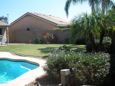 Backyard (1)