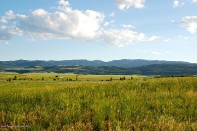 Packsaddle Ranch