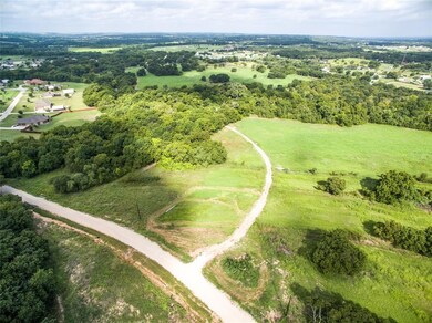 299 Mastadon Way, Weatherford, TX 76085 - photo 7