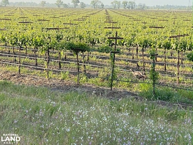 52415-52979 S River Rd, Clarksburg, CA 95612 - photo 7