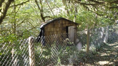 27665 Trask River Rd, Tillamook, OR 97141 - photo 3