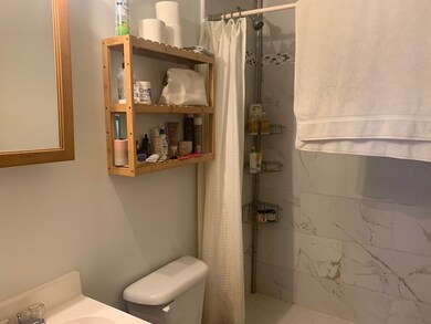 147 Worcester St unit 4, Boston, MA 02118 - photo 5